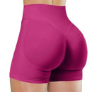 Shorts Feminino Fitness Academia Cintura Alta que Levanta o Bumbum - FlexyShorts