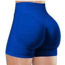 Shorts Feminino Fitness Academia Cintura Alta que Levanta o Bumbum - FlexyShorts