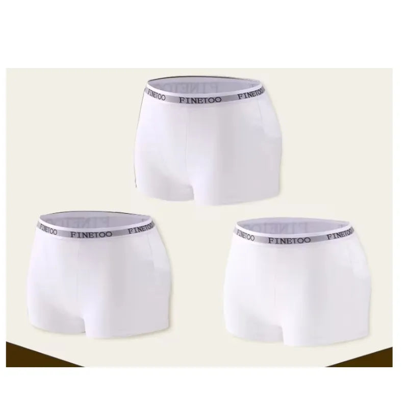 Kit 3 Calcinhas Box Boyshort – Algodão Sem Costura, Conforto e Estilo Cute Byte